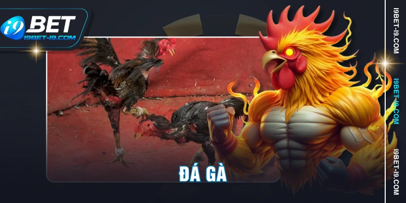 Đá Gà